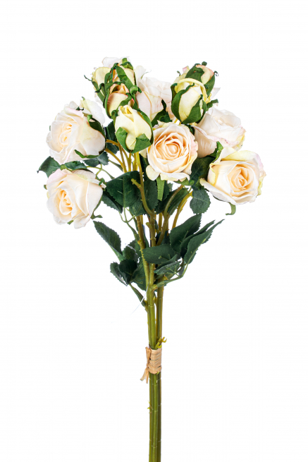 Bouquet boccioli rose crema 40 cm