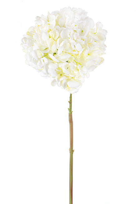 Ortensia singola con stelo bianca 62 cm
