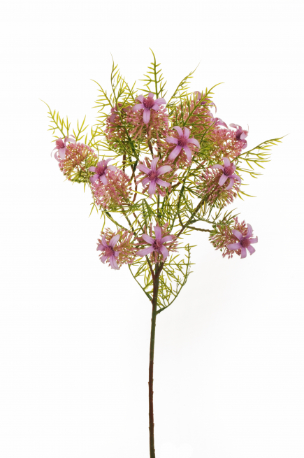 Ramo di "Epilobium" lilla, altezza 65 cm