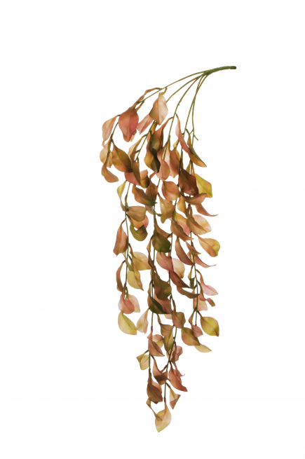 Cespuglio di pruno verde rosa cadente, altezza 81 cm
