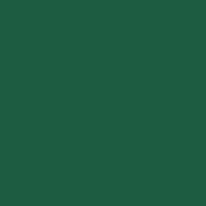 Tovagliolo TNT airlaid "Dunisoft" verde bosco 40x40cm, confezione da 60 pezzi