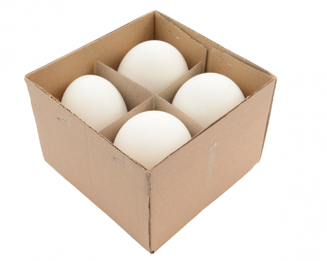 Uovo d'oca naturale bianco, diametro 5 cm, altezza 8 cm, confezione da 4 pezzi