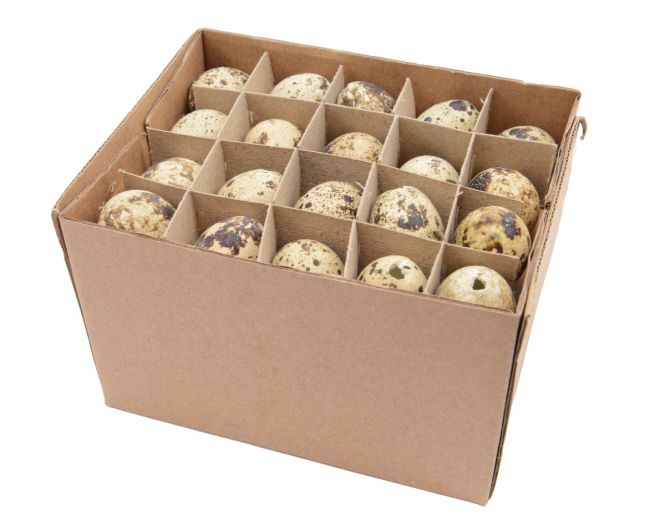 Uovo di quaglia naturale, diametro 2 cm, altezza 2.5 cm, confezione da 60 pezzi