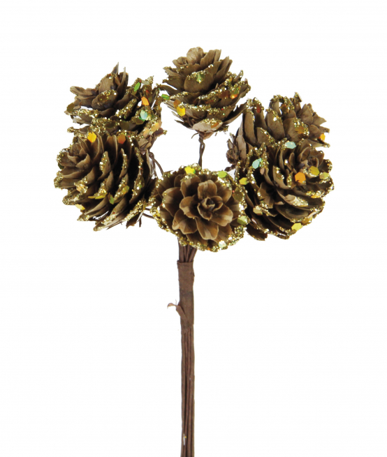 Pick a forma di pigna naturale, colore oro, diametro 2.5 cm, confezione da 72 pezzi