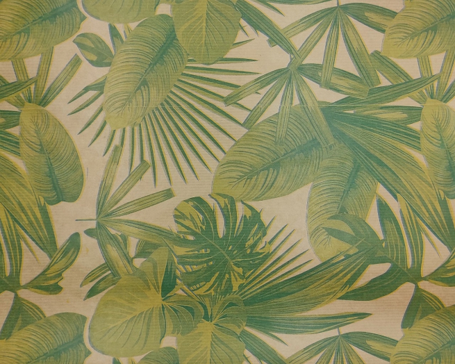 Carta da regalo millerighe avana, fantasia foglie verde chiaro, formato 70x100 cm, confezione da 25 fogli