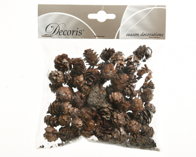 Pigna naturale con glitter