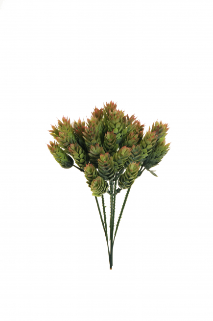 Mazzo di luppolo verde rosa, altezza 23 cm, confezione da 6 pezzi