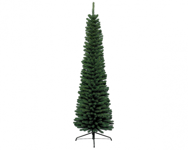 Pino "Pencil" verde, altezza 240 cm, diametro base 70 cm