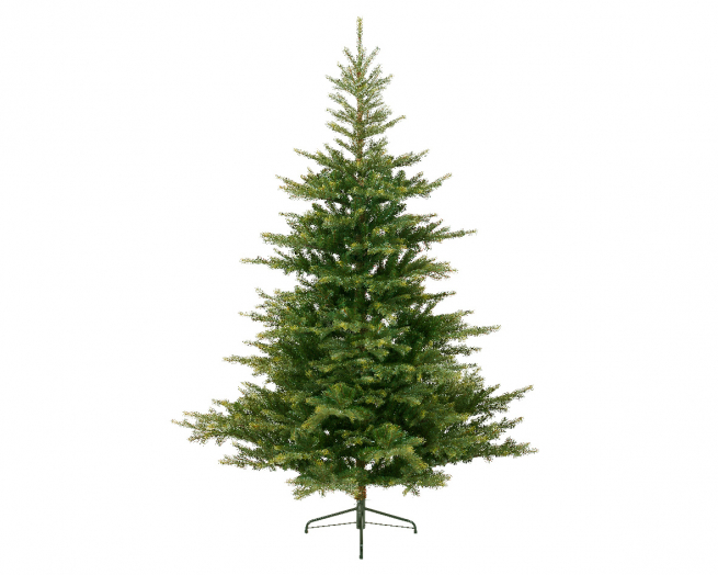 Pino "Grandis" verde, altezza 180 cm, diametro base 132 cm