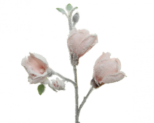 Ramo di magnolie rosa cipria, altezza 50 cm