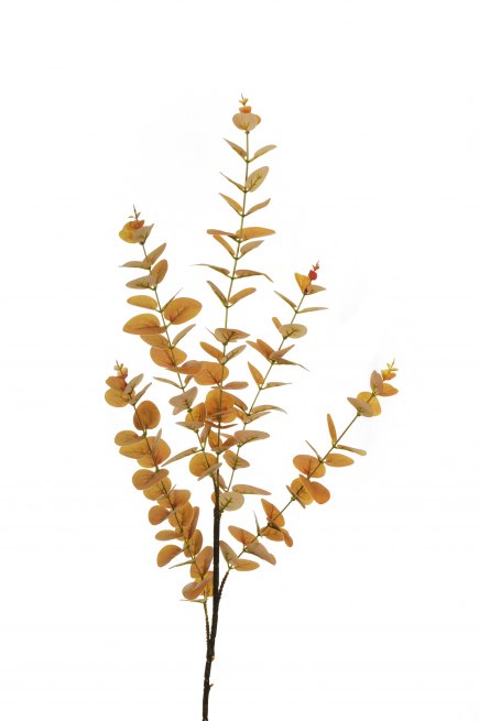 Ramo di eucalipto giallo ocra, altezza 100 cm