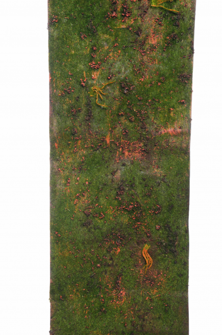 Tappeto muschio 35.5x150 cm