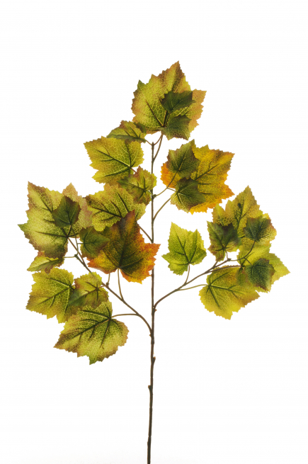 Ramo con foglie di vite, altezza 70 cm, vari colori
