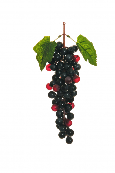 Grappolo di uva nera, altezza 29 cm