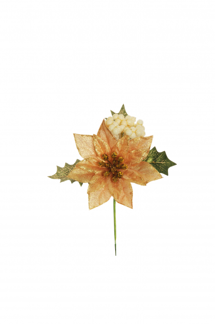 Pick stella di Natale, altezza 16 cm, confezione da 12 pezzi