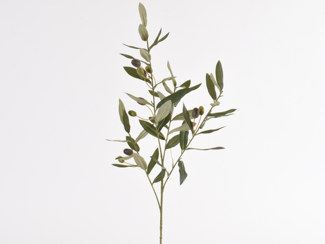 Ramo di ulivo verde con olive, lunghezza 71 cm