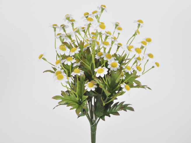 Camomilla in mazzetto con fiori bianchi, altezza 27 cm