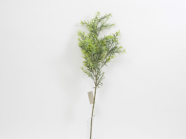 Ramo di asparago selvatico verde, lunghezza 78 cm