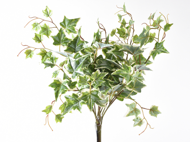 Edera verde e crema in mazzetto, altezza 56 cm