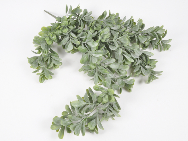 Bosso verde in mazzo, lunghezza 74 cm