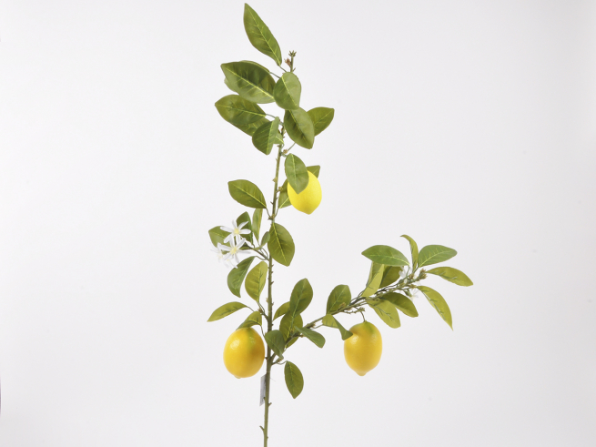 Ramo di limone con frutti e fiori, lunghezza 110 cm