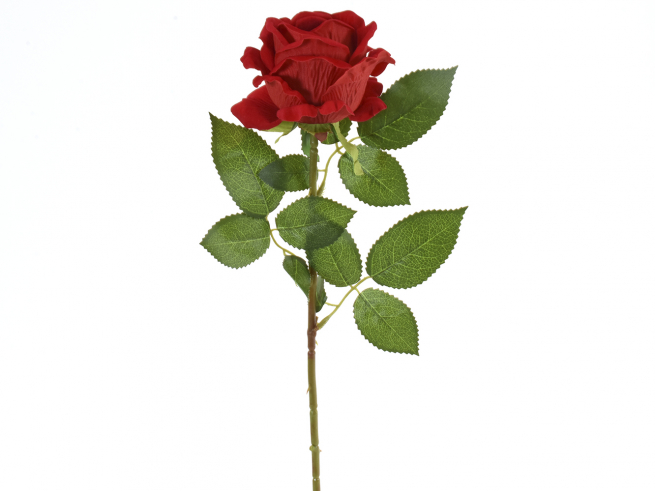 Rosa in velluto rosso con stelo, altezza 77 cm