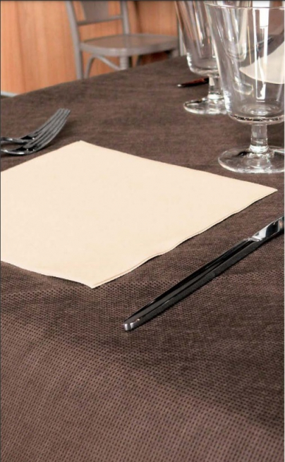 Tovaglia marrone in tessuto non tessuto, h.120cm, rotolo da 25 metri