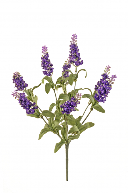 Mazzo di lavanda, altezza 33 cm