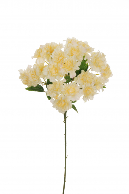 Ramo con rose selvatiche crema, altezza 80 cm