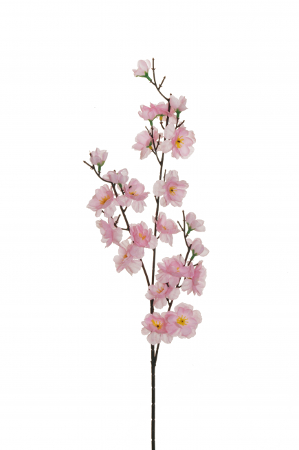 Fiore di pesco rosa chiaro, altezza 66 cm