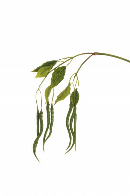 Ramo cadente con peperoncini verdi e foglie, lunghezza 110 cm