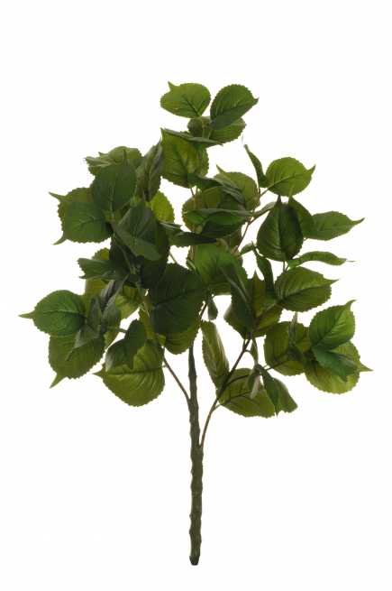Ramo con foglie di ortensia verde, altezza 88 cm