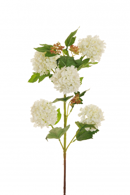 Ramo fiori "Palla di neve", altezza 78 cm, vari colori