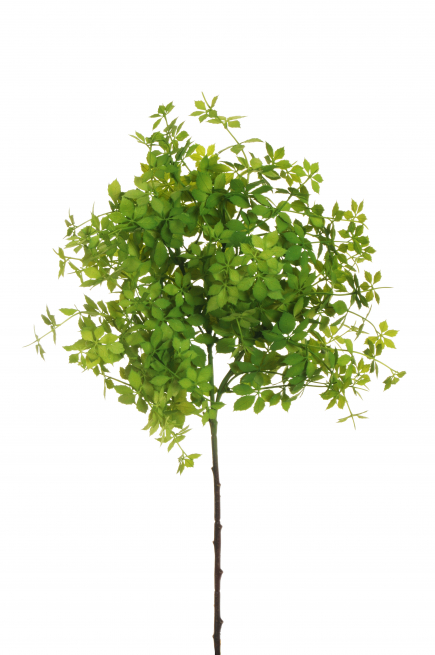 Ramo di vite americana verde, altezza 59 cm