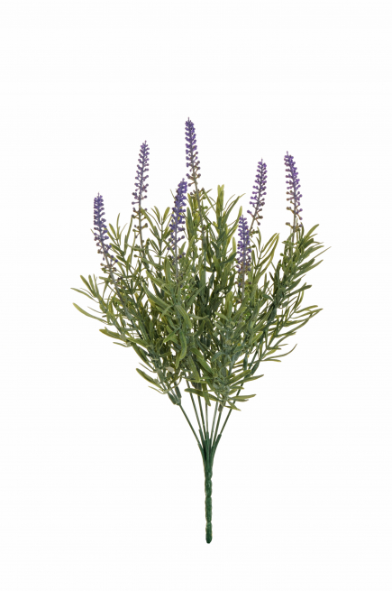 Lavanda in mazzetto, altezza 39 cm