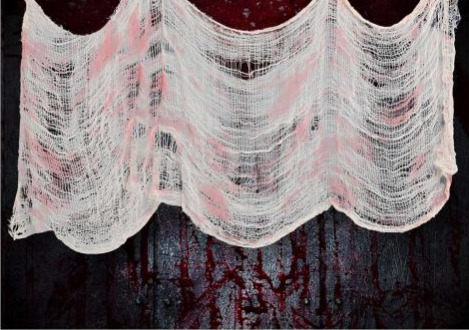 Stoffa bianca insanguinata 76x228 cm