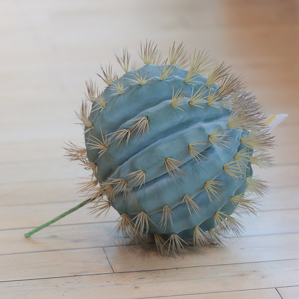 Cactus sferico, diametro 40 cm, altezza 33 cm