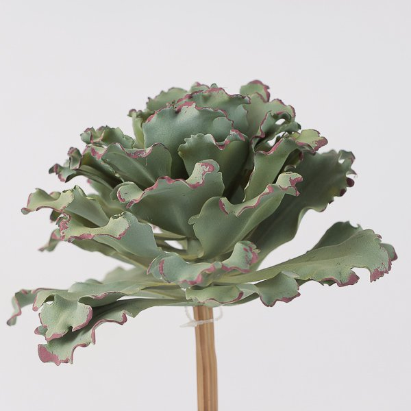 Pianta grassa "Agave", altezza 23.5 cm