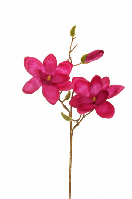 Magnolia viola con stelo, altezza 72 cm