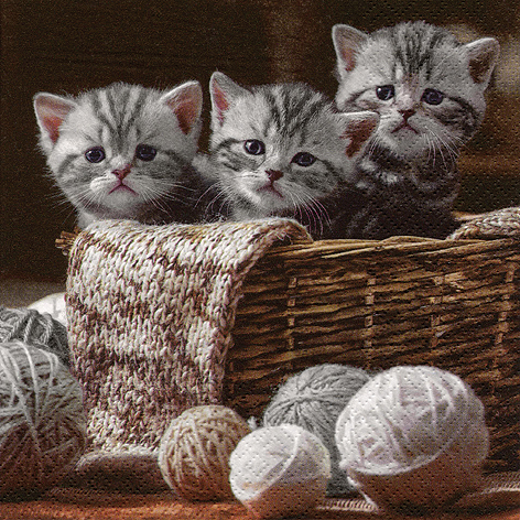 Tovagliolo in carta 3 veli stampa "Gatti", 33x33 cm, confezione da 20 pezzi