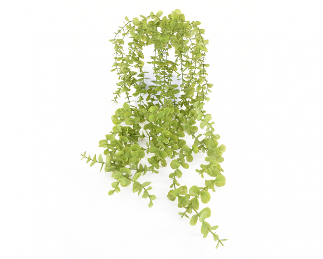 Ramo di eucalipto verde, lunghezza 95 cm
