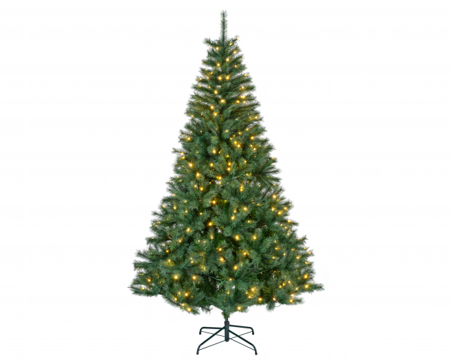 Pino "Canada" verde con led, altezza 270 cm, diametro base 160 cm