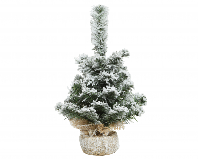 Pino "Imperial" innevato, altezza 35 cm, diametro base 25 cm