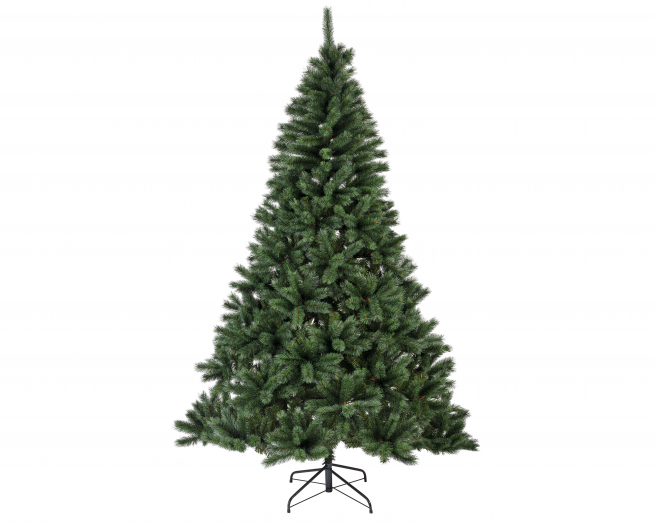 Pino "Canada" verde, altezza 270 cm, diametro base 160 cm
