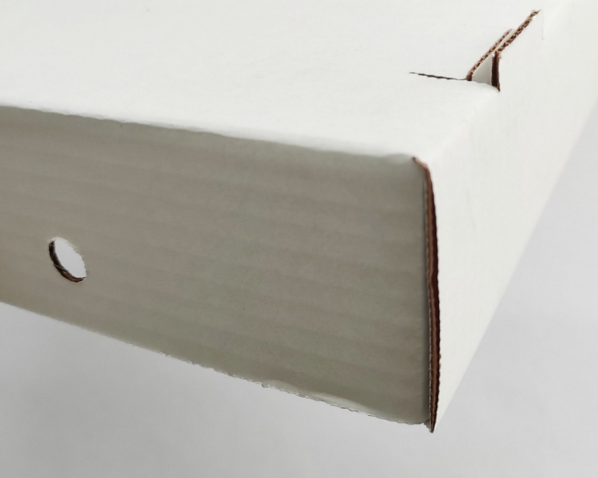 Scatola asporto fondo+coperchio in cartone microonda bianco, formato 24x39, altezza 7.5cm