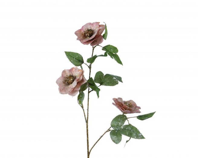 Fiore di elleboro rosa, altezza 52 cm