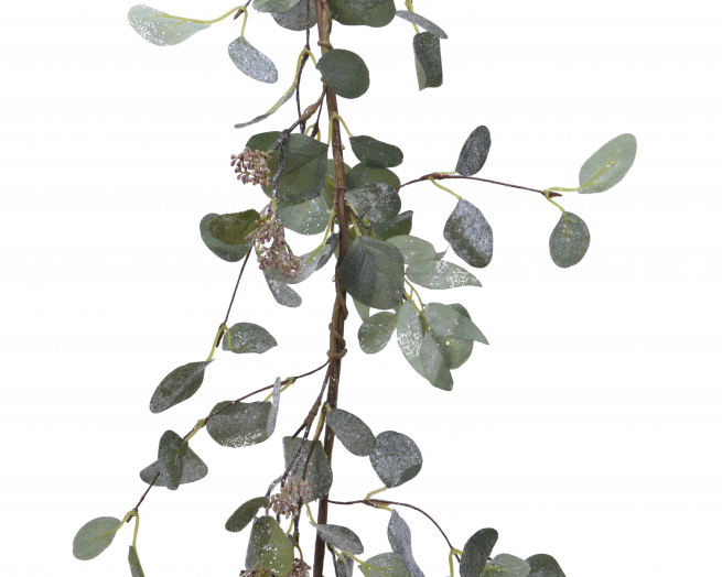 Ghirlanda di eucalipto, lunghezza 150 cm