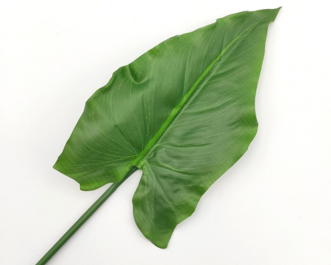 Foglia di calla verde, altezza 79 cm