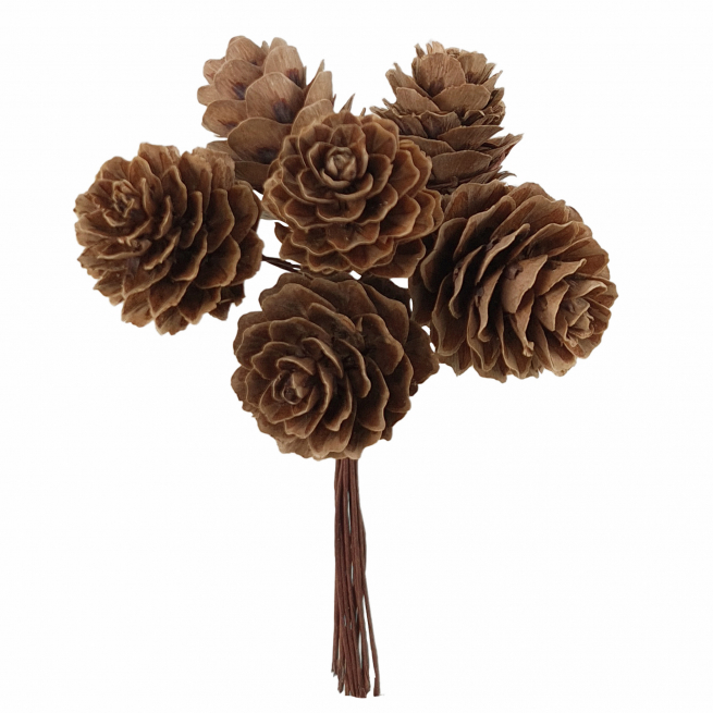 Pick pigna naturale, diametro 2.5 cm, confezione da 72 pezzi