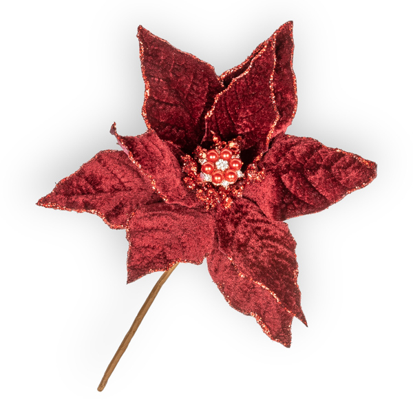 Pick stella di Natale in velluto bordeaux, altezza 25 cm
